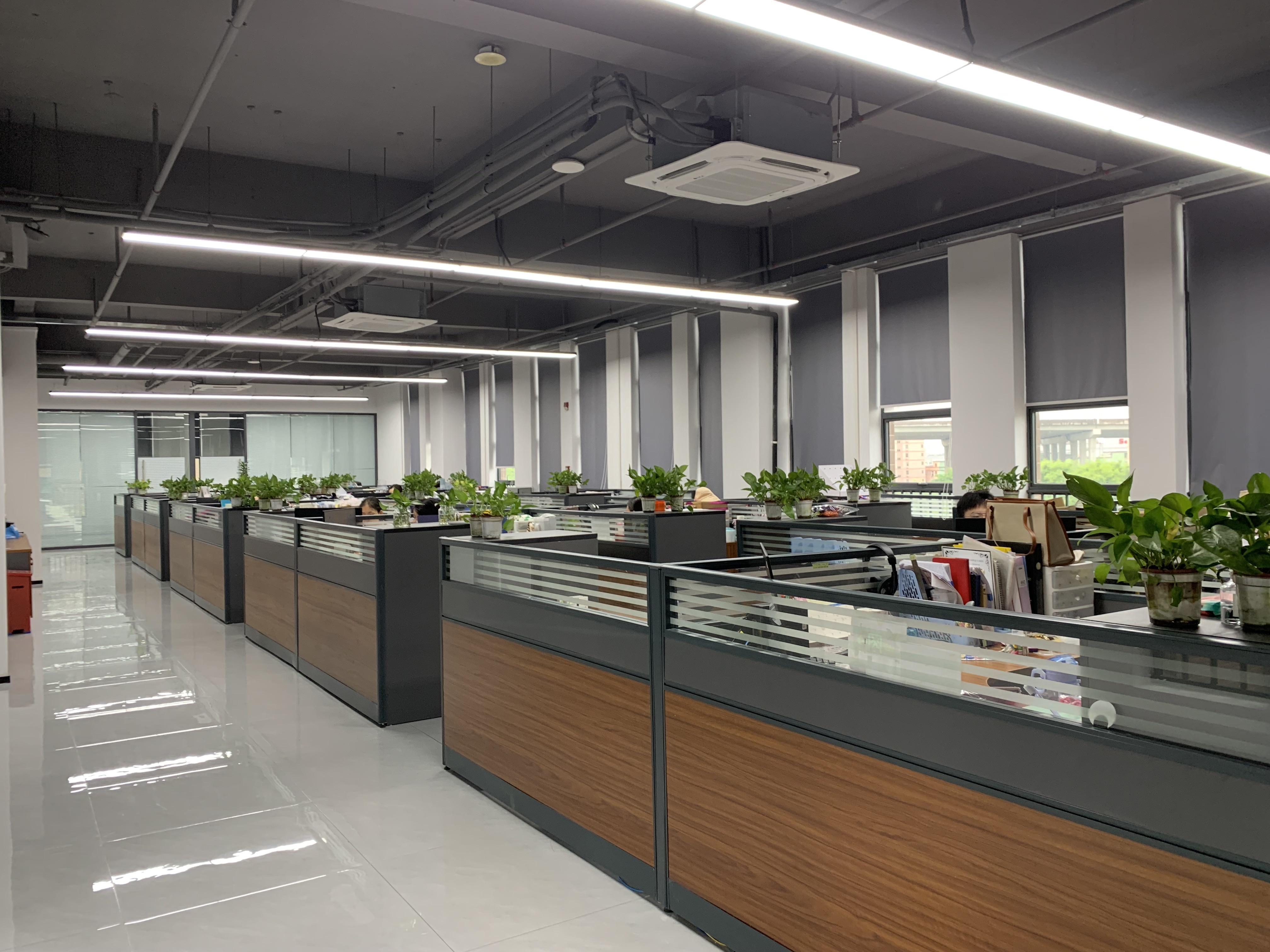 Porcellana RICHSTAR (SHENZHEN) LIMITED Profilo Aziendale